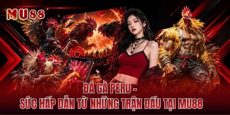 Đá Gà Peru - Sức Hấp Dẫn Từ Những Trận Đấu Tại MU88